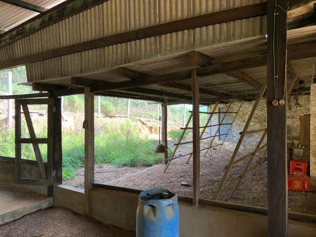 Linda Fazenda 480 tarefas Santo Antonio de Jesus - Foto 10