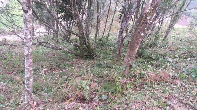 Terreno parcelado alto gasparinho - leia o anúncio - Foto 11
