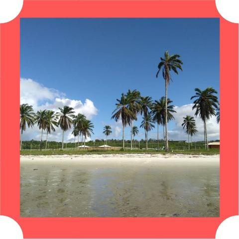 Lotes em Saubara, Costa de Itapema- Pagamento Facilitado, Praia Privativa - Foto 12