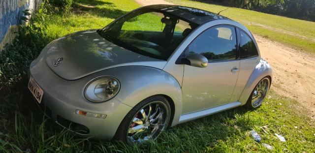 Beetle