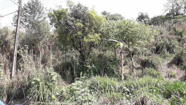 Terreno Almirante Tamandaré com escritura troca por carro - Foto 3