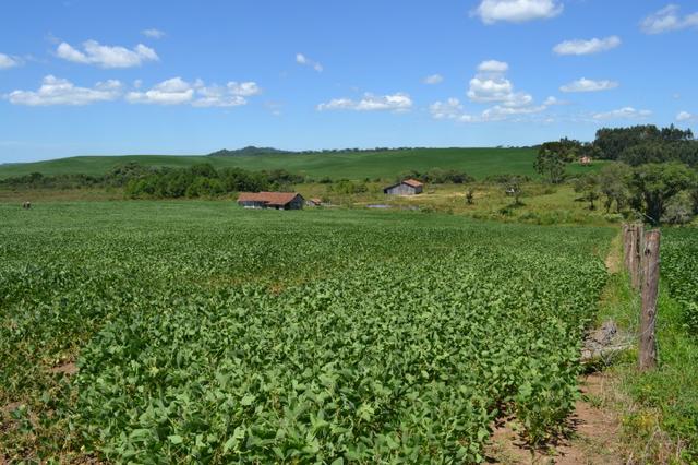 Oportunidade Produtor Rural Terreno em Bela Vista do Toldo - Foto 2