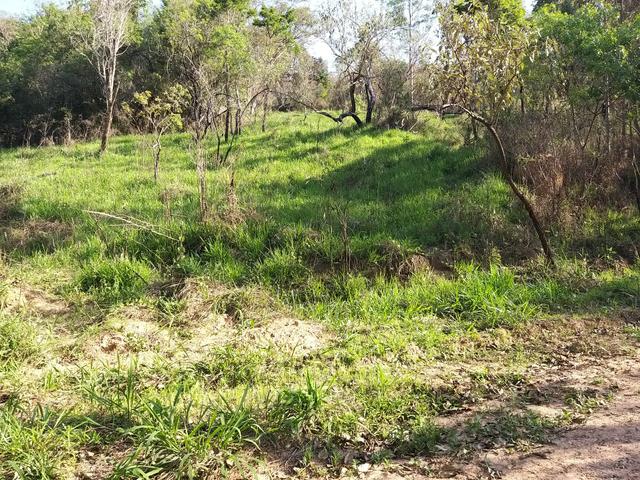 Terreno de 10mil m² para você construir tudo e um pouco mais!!! - Foto 4