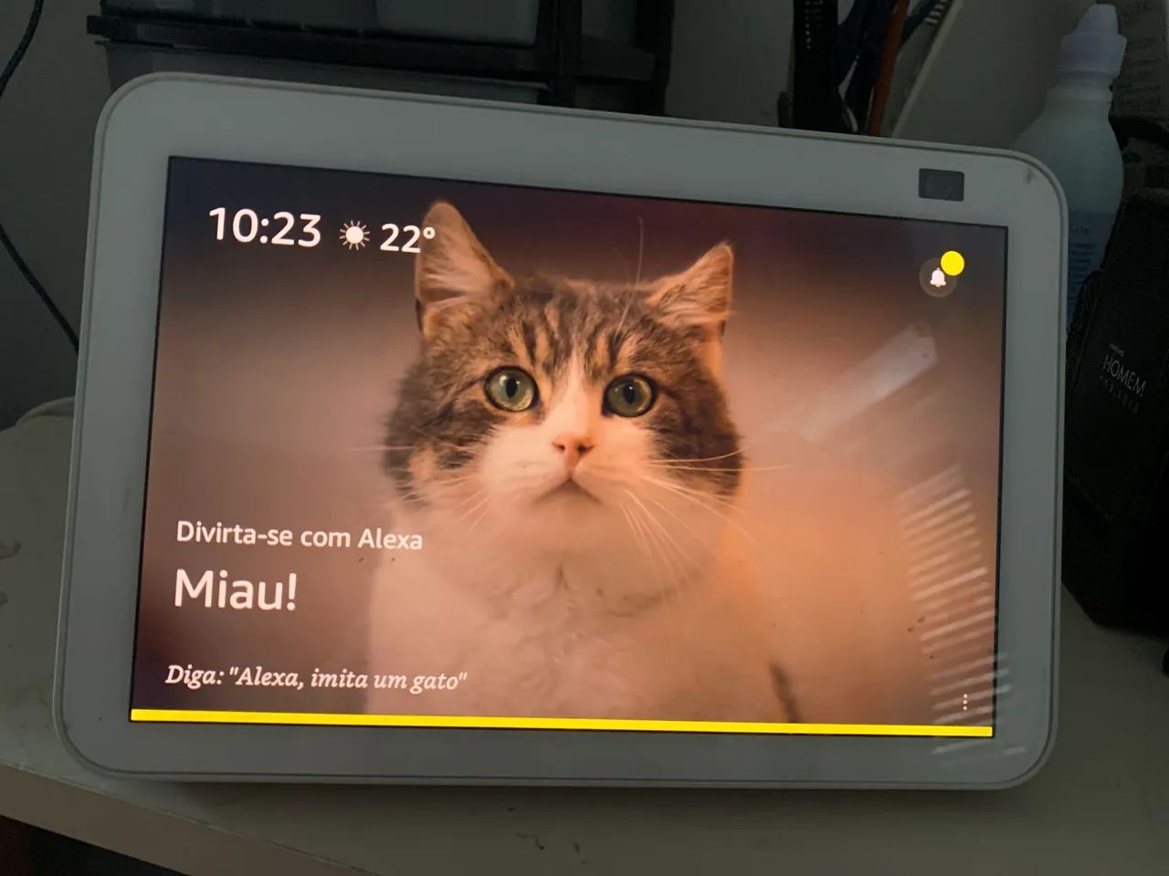 Echo show 8 geração 