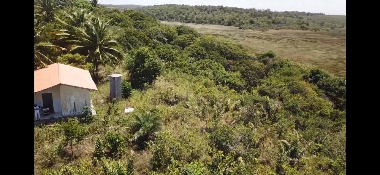 Sítio (litoral norte) 8600/mts2 Arembepe pé Rio - Foto 8