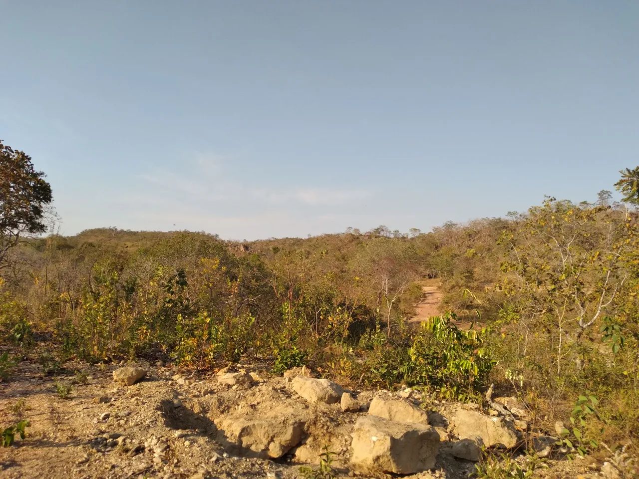 Foto - Brasília - St Sul, Gama