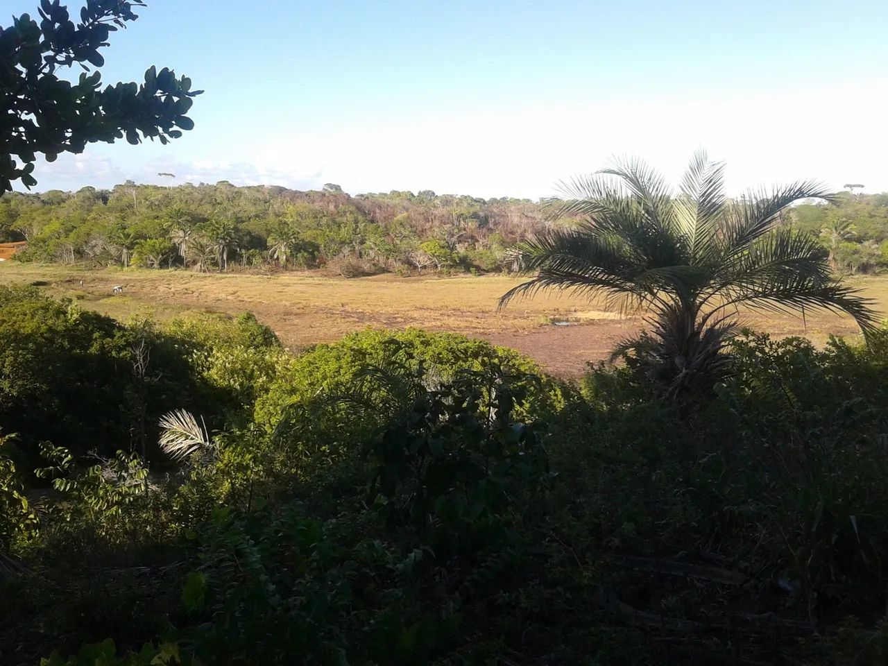 Sítio (litoral norte) 8600/mts2 Arembepe pé Rio - Foto 3