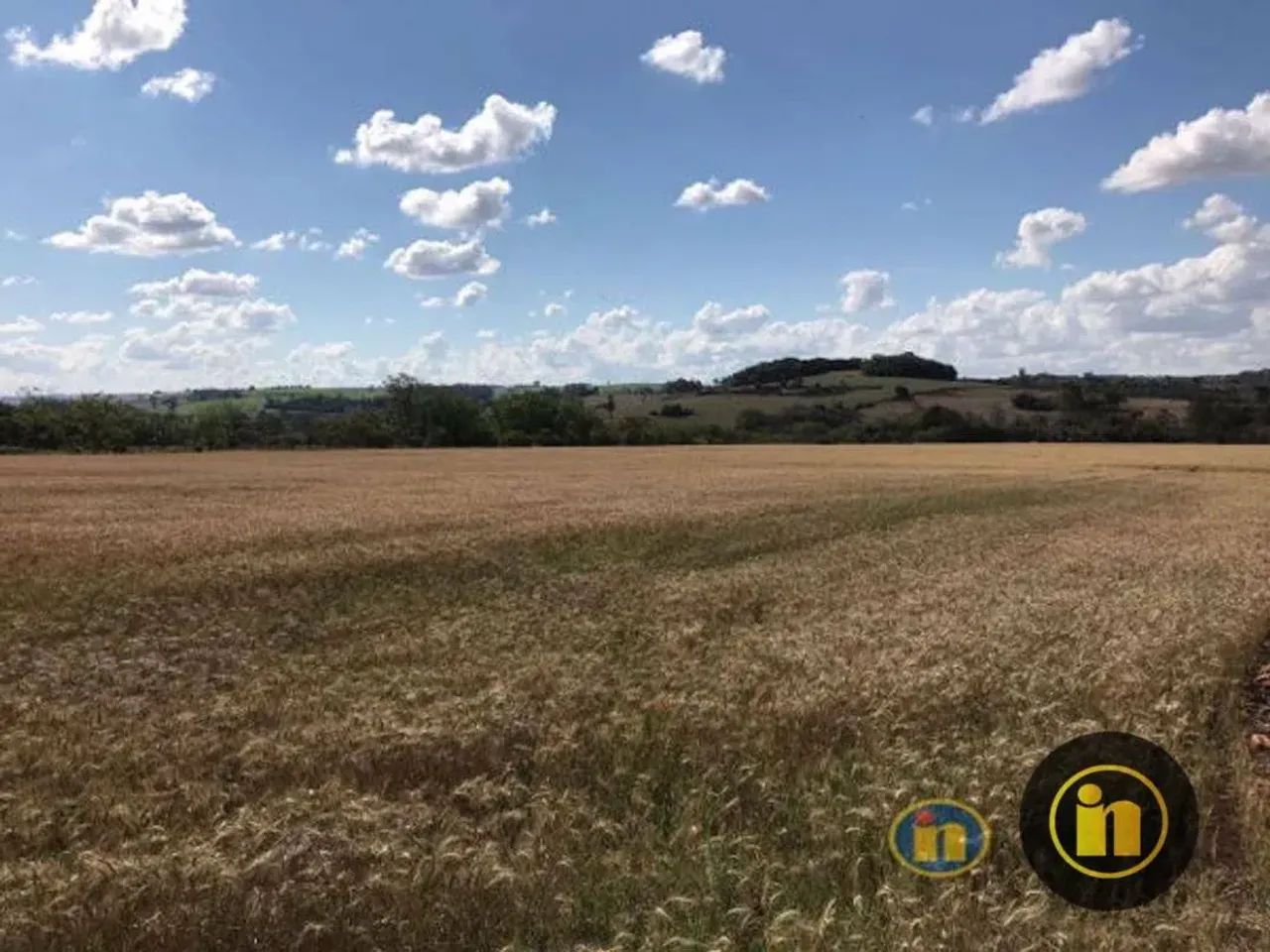 Sítio Rural à venda, Del Rey, Londrina - SI0025. - Foto 5