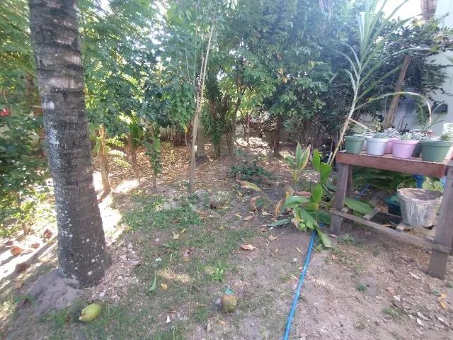 Casa Morro Cavado, Mato Alto, a 5 minutos de Campo Grande, local dos Sítios e Fazendas - Foto 4