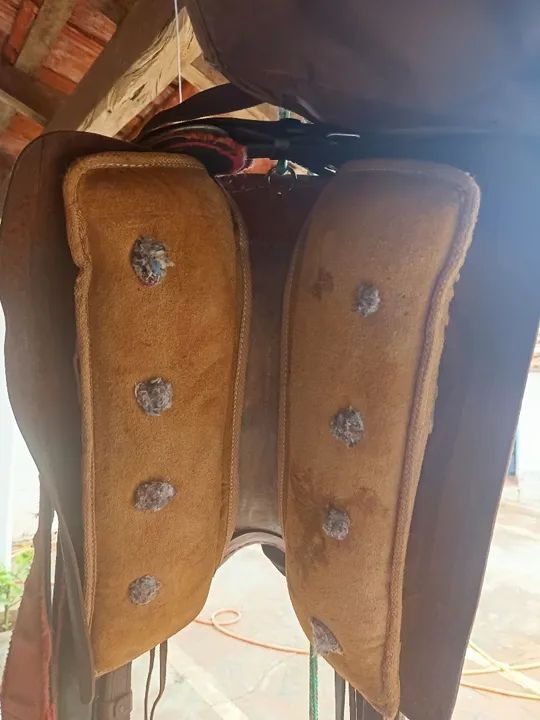 Cutiano (leia) - Foto 3