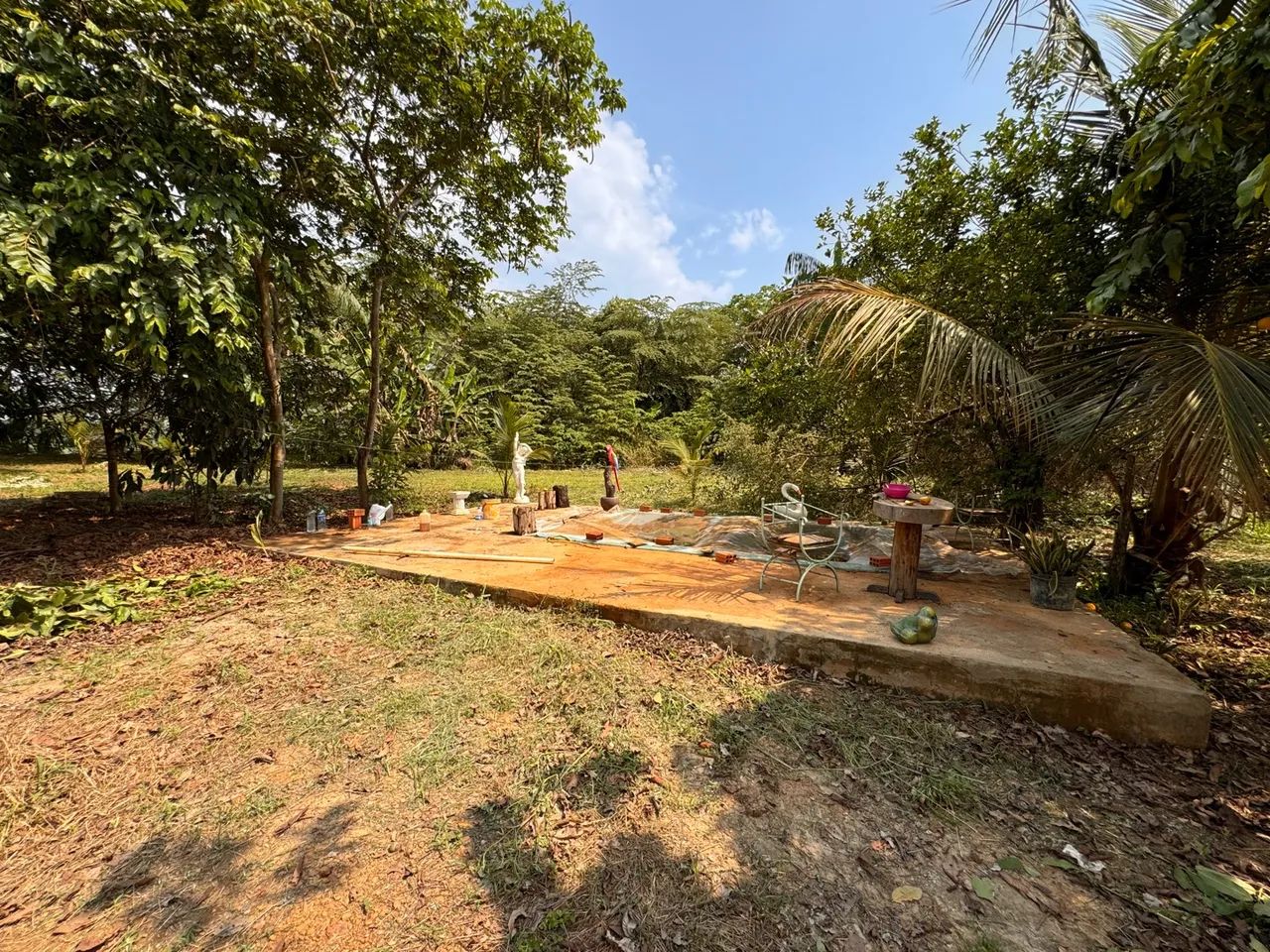 Oportunidade Sítio perto do centro, vista pra rio Madeira - Foto 4