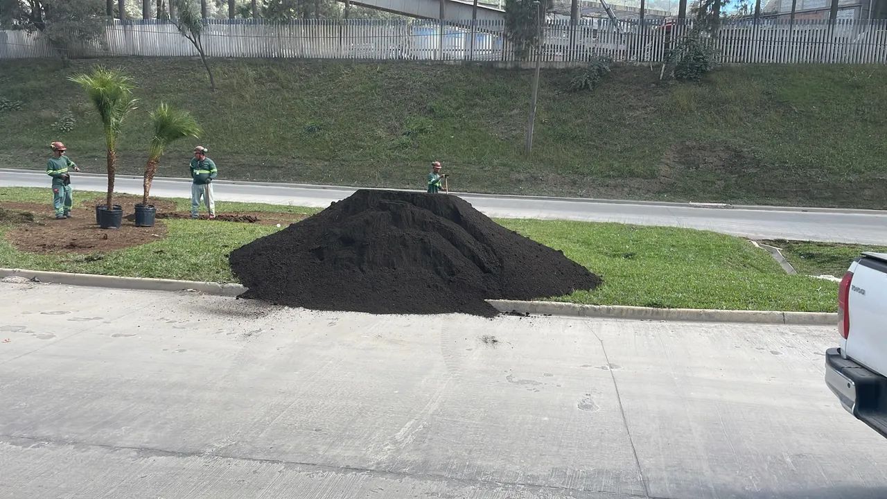 Terra preta peneirada adubada para seu jardim ou plantio!