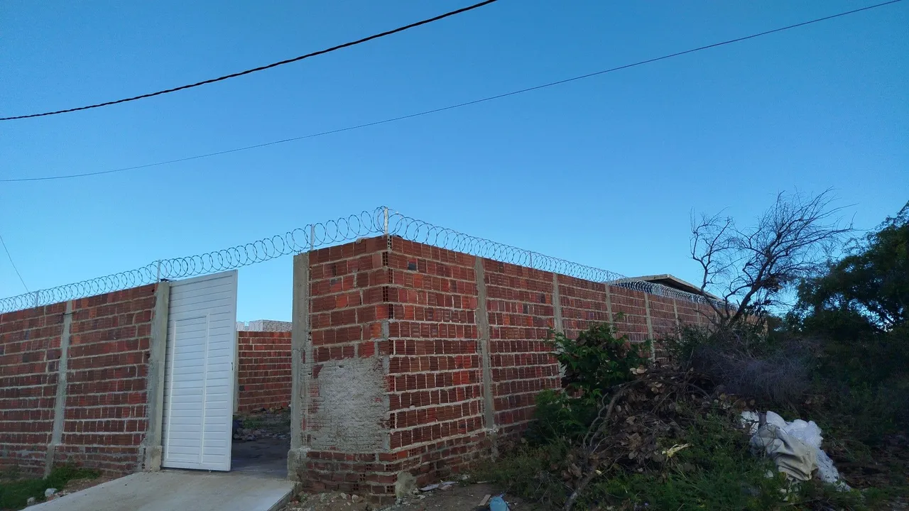 Cerca de segurança concertina