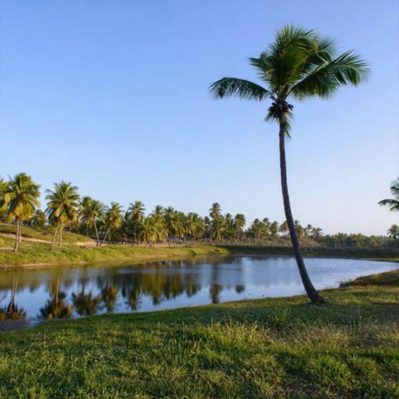 Terreno Lotes de condominio em Barra dos Coqueiros - Foto 4