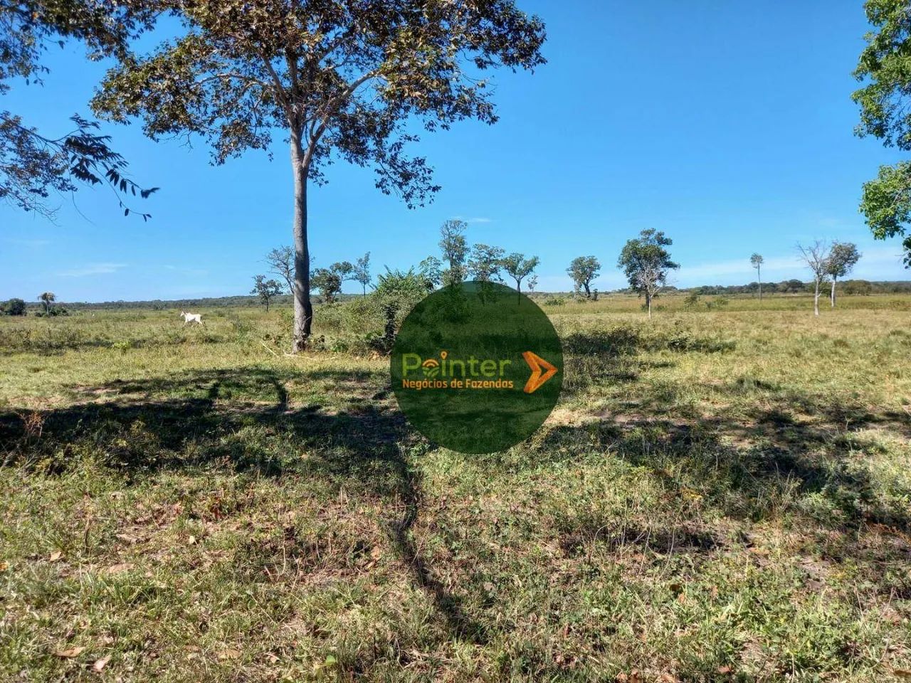 Fazenda à venda, por R$ 12.000.000 - Zona Rural - Cristalândia/TO - Foto 3