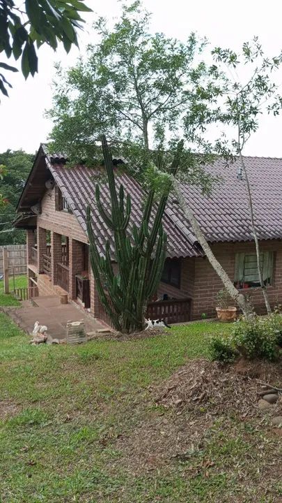 Linda chácara de 1 hectare em Parobé-RS - Foto 5