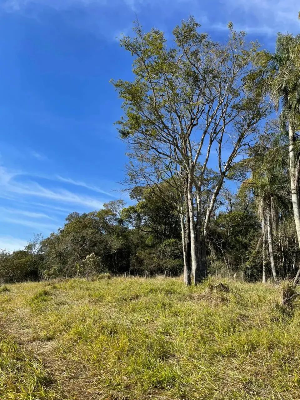 CHÁCARA DOCUMENTADA EM IBIÚNA  LOTE 500m² - Foto 3