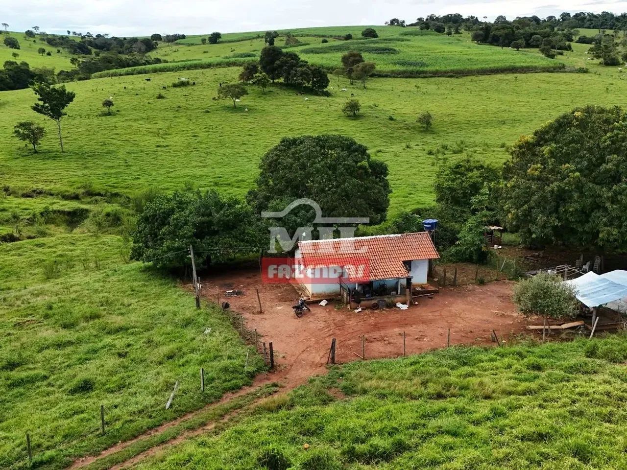 Chácara 6 alqueires ( 29,06 hectares ) Inhumas- GO - Foto 7