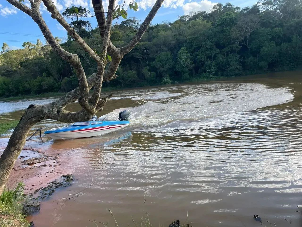 R$ 57.900: Seu Sonho de 1000m² em Ibiúna Começa Agora! - Foto 7