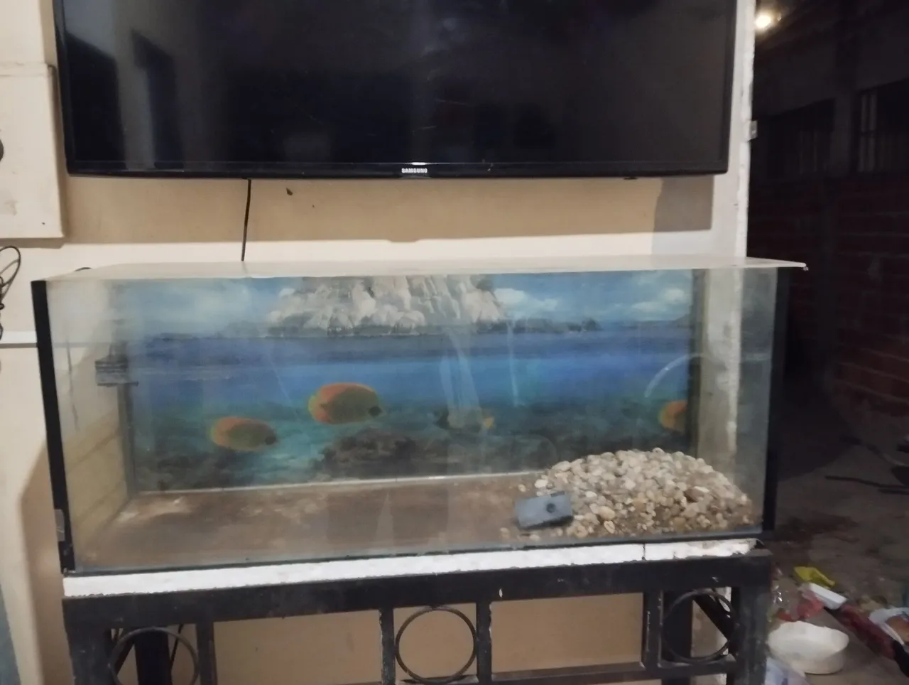 Aquário com suporte e decoração