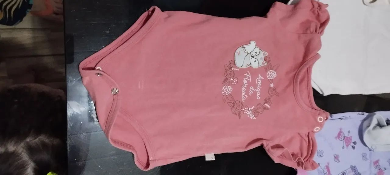 Lote de roupas de bebê menina 