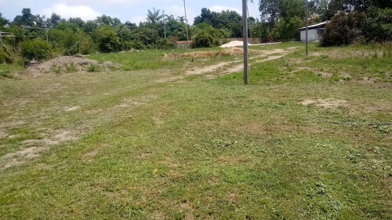 Limpeza Roçagem Poda Corte de Árvores