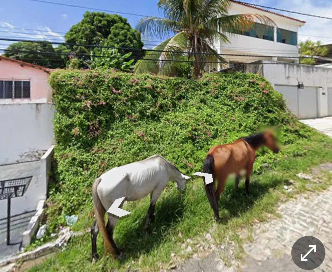 Foto - Olinda - Fragoso