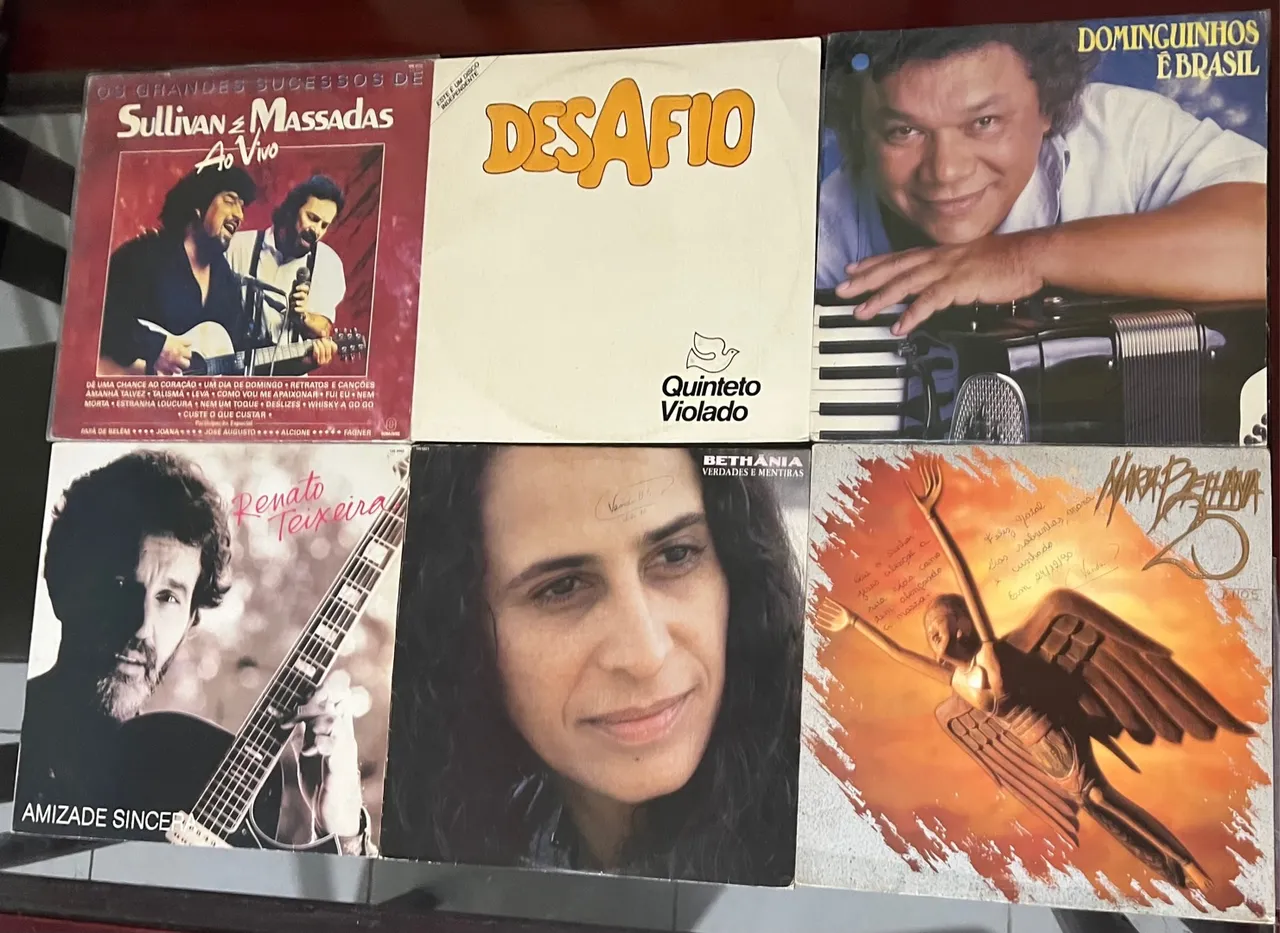 Discos de Vinil (LPs) de cantores variados