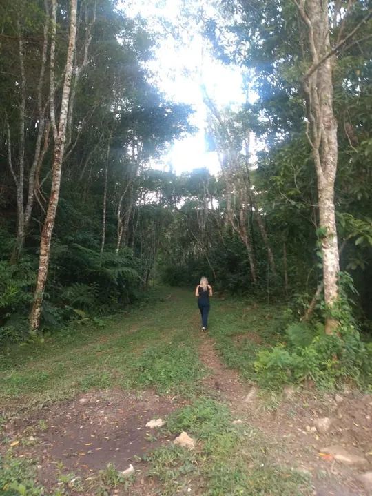Terreno com área verde em local tranquilo