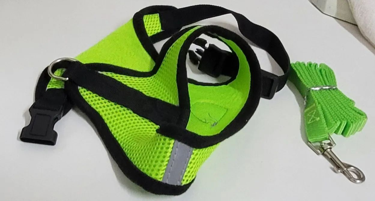 Peitoral (usado 1 x) e guia (nova) para cães até cerca de 10 kg<br> - Foto 2