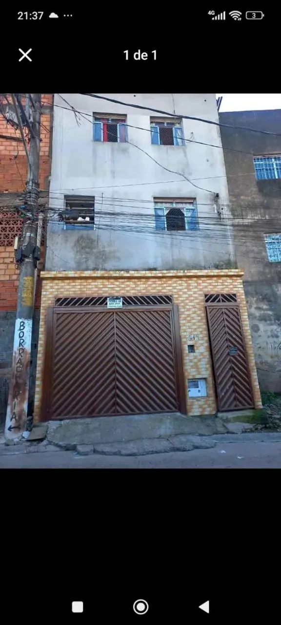 Foto - São Paulo - Parque das Flores