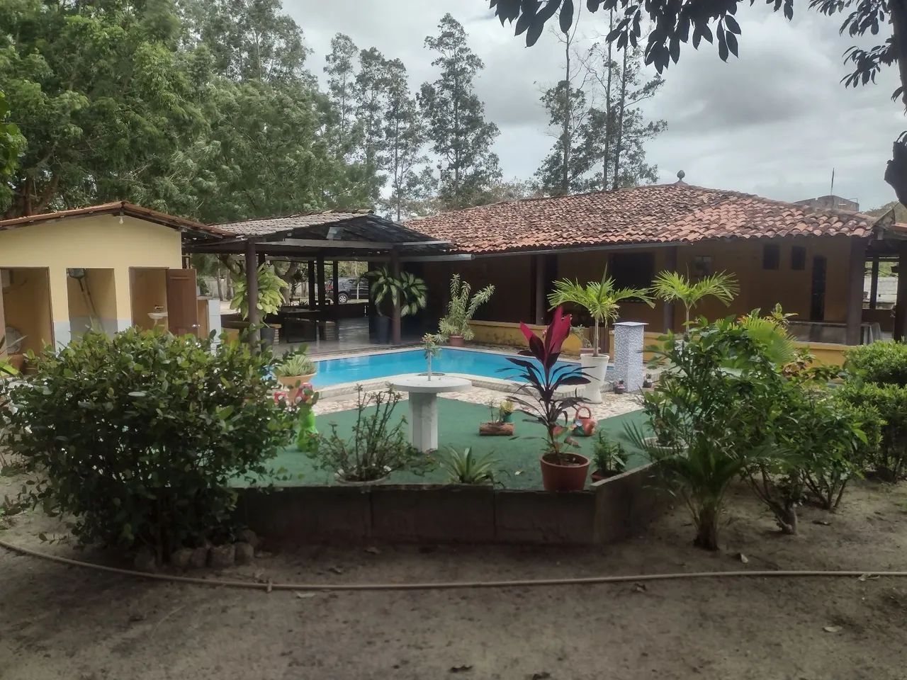 VENDO SITIO EM CAMOCIM - Foto 3