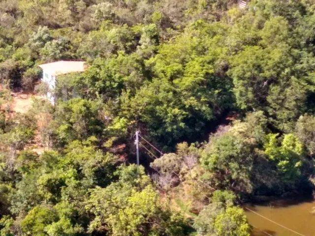 Kit na Floresta