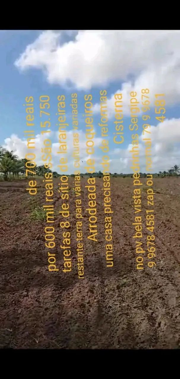 Sitio em pedrinhas Sergipe no povoado bela vista  - Foto 2