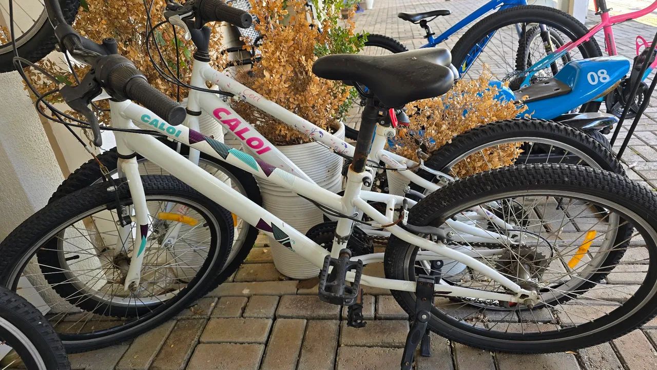 Bicicleta Caloi Ceci aro 24