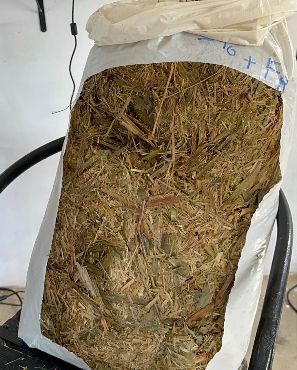 Silagem Disponível  - Foto 5