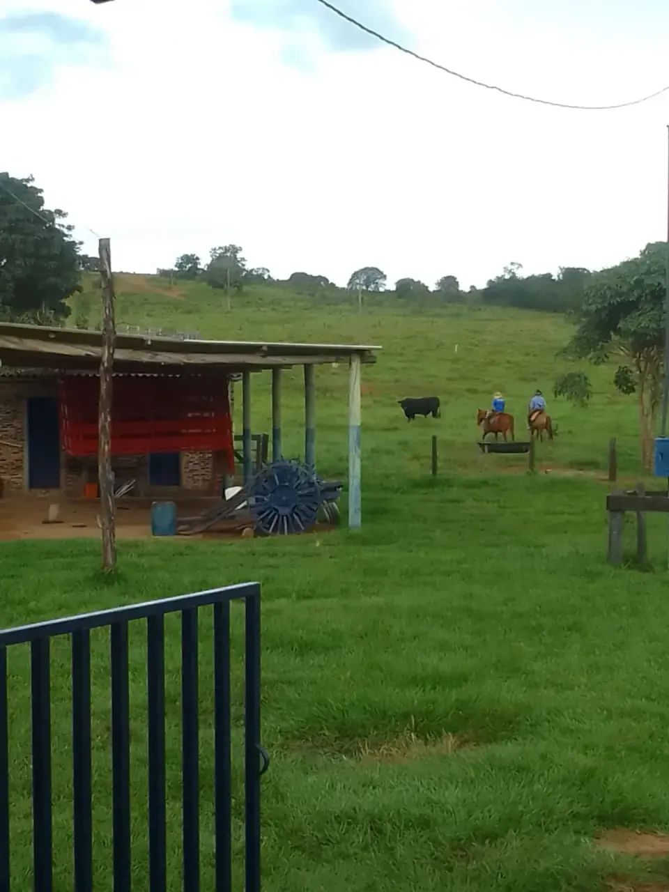 Fazenda com 1.251 Hectares a venda entre Coxim e Alcinopolis - Foto 2