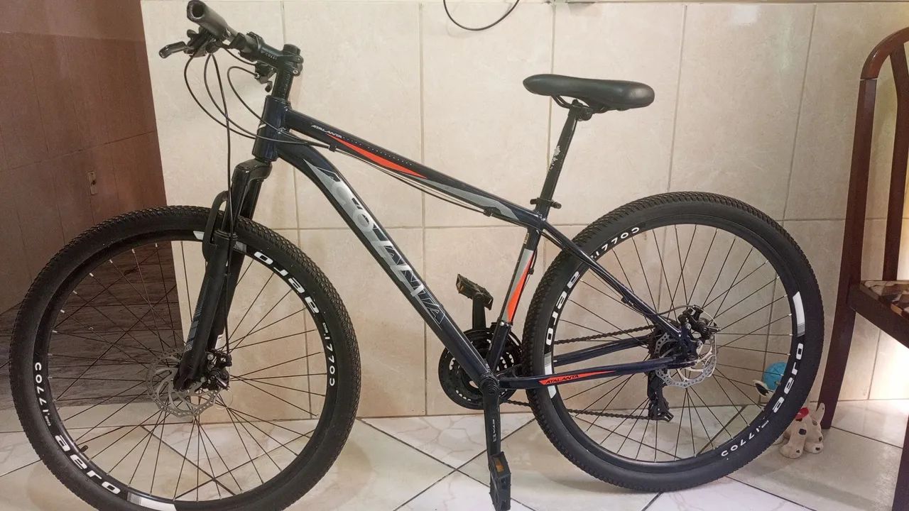 Bicicleta 29