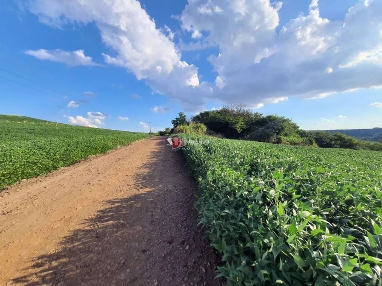Chácara à venda em Maringá, Jardim Alvorada, com 217800 m² - Foto 4