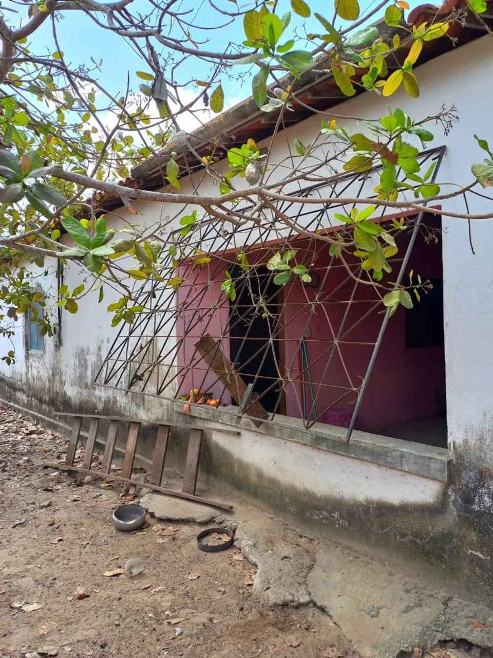 Casa com terreno 10x70 à venda em Horizonte  - Foto 3