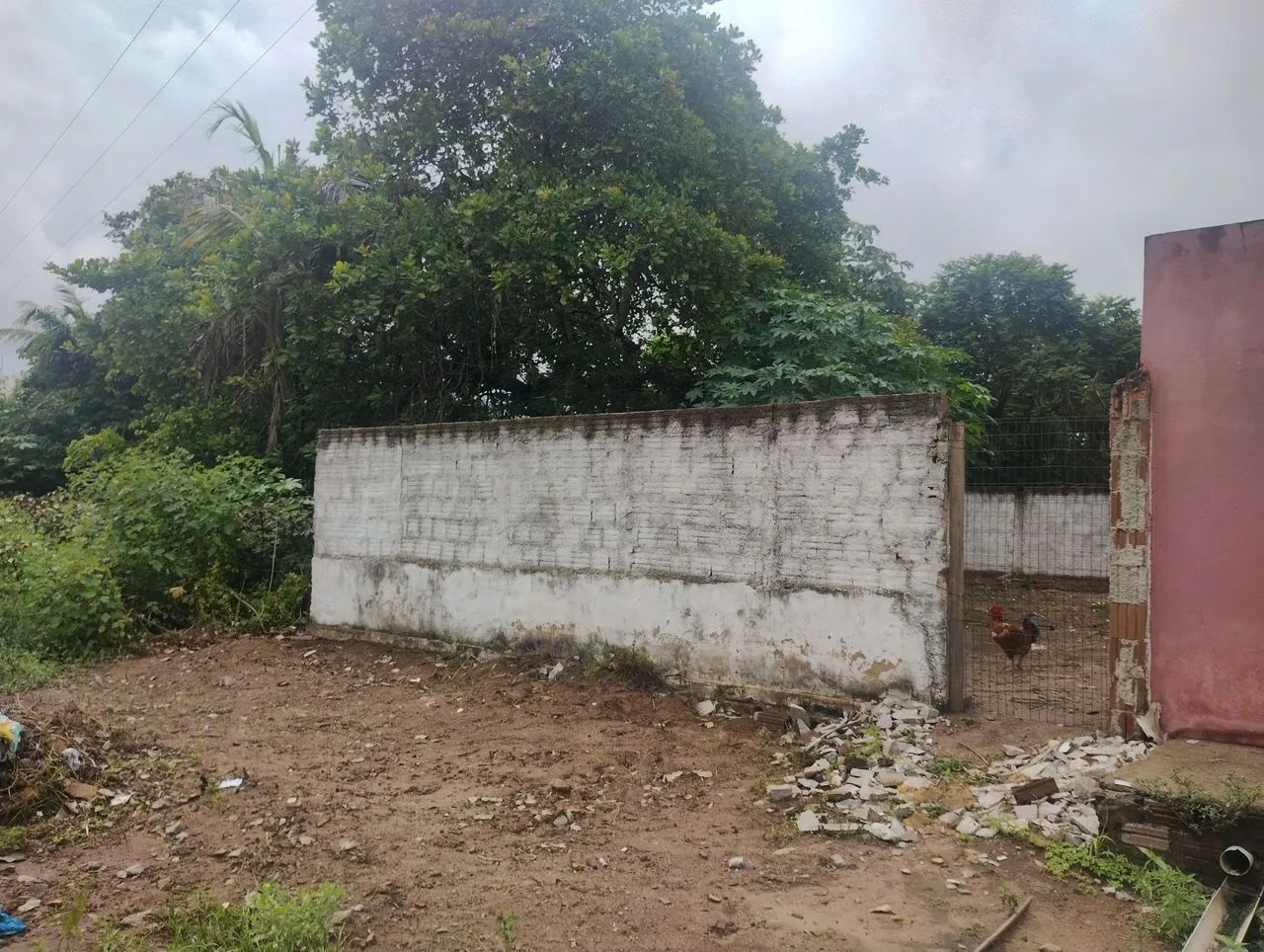 VENDE-SE TERRENO!