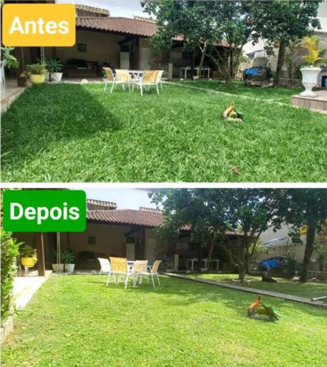 Jardineiro perto de você *88 - Foto 2