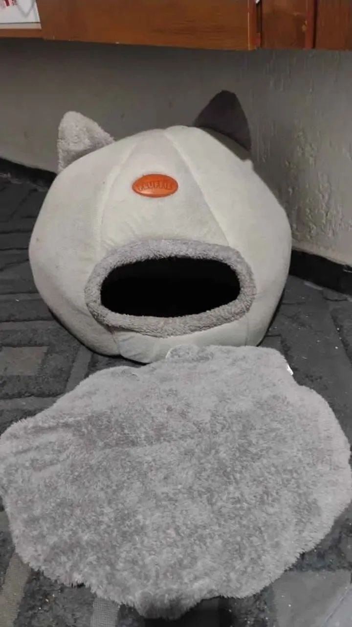 gato