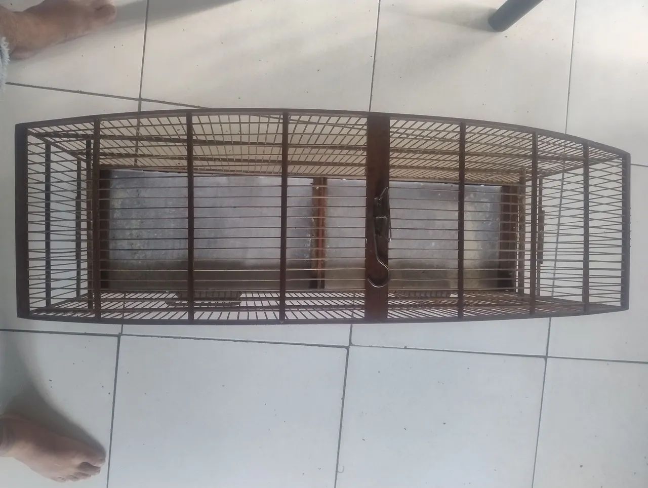 Voador para pássaros  - Foto 2