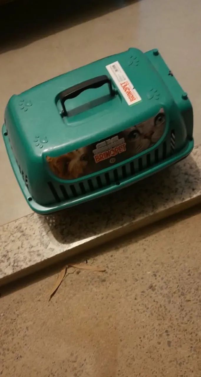Casinha para gato - Foto 4