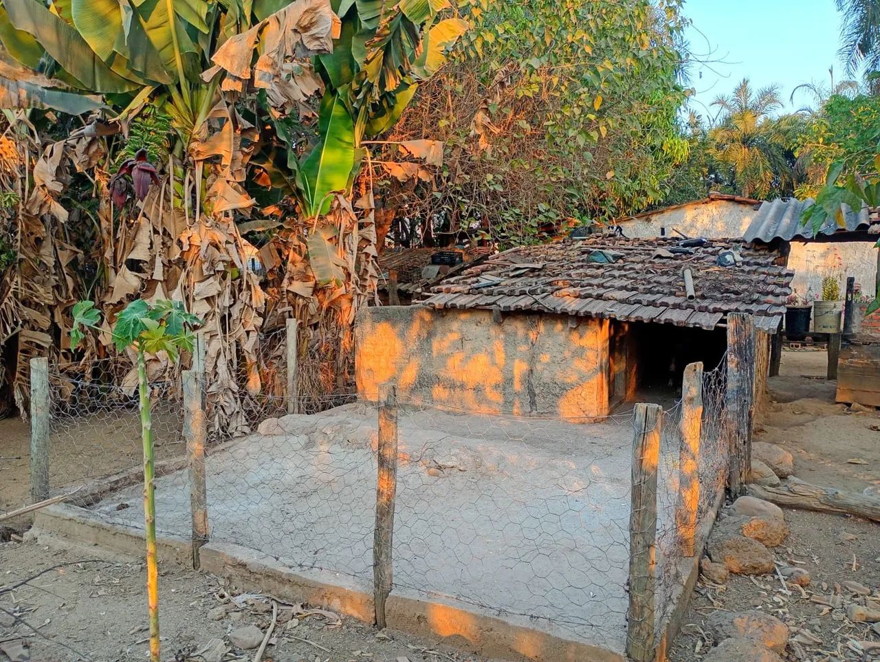 Vende-se chácara  - Foto 5