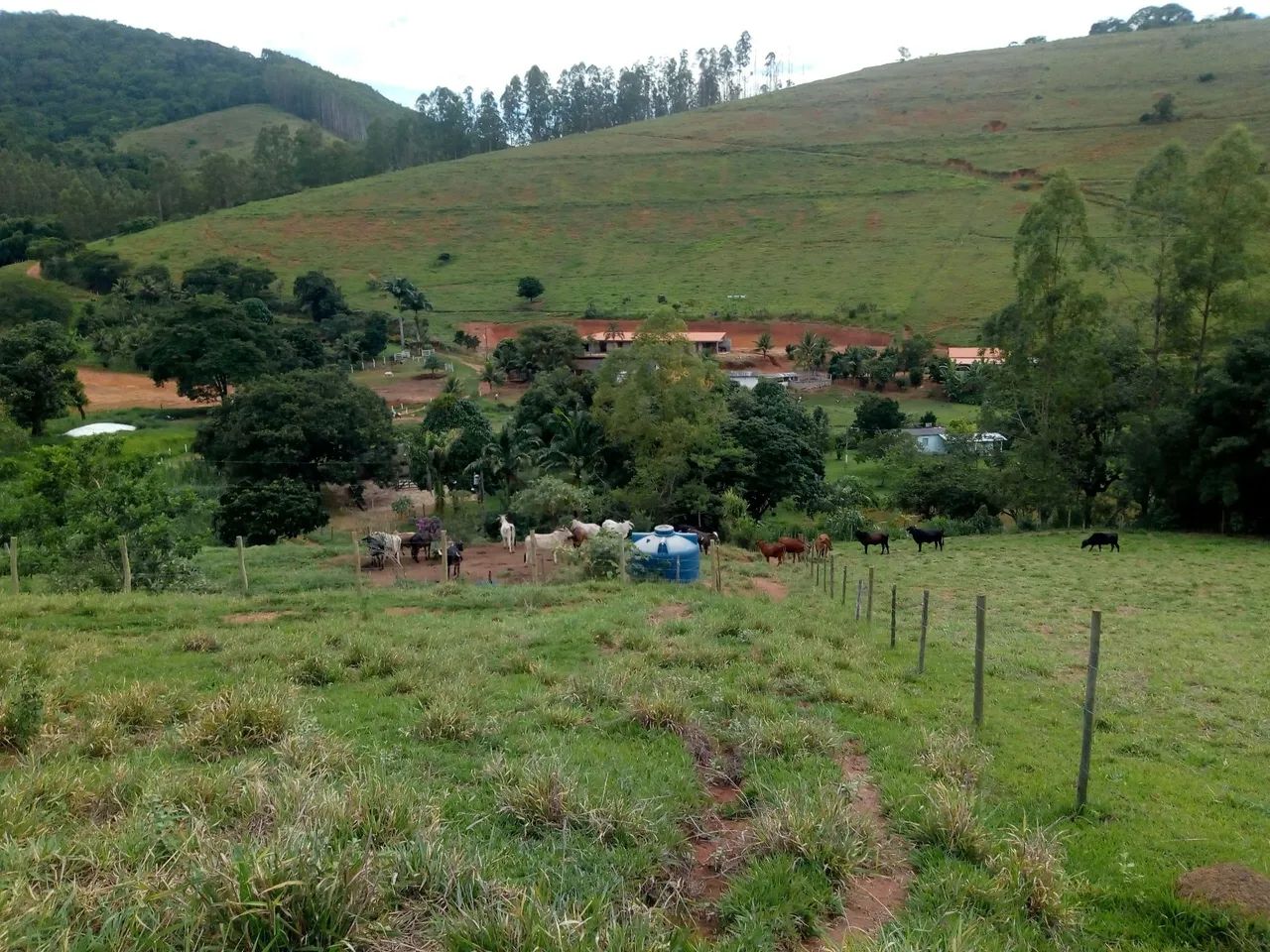 FAZENDINHAS DO DESERTO - Foto 2