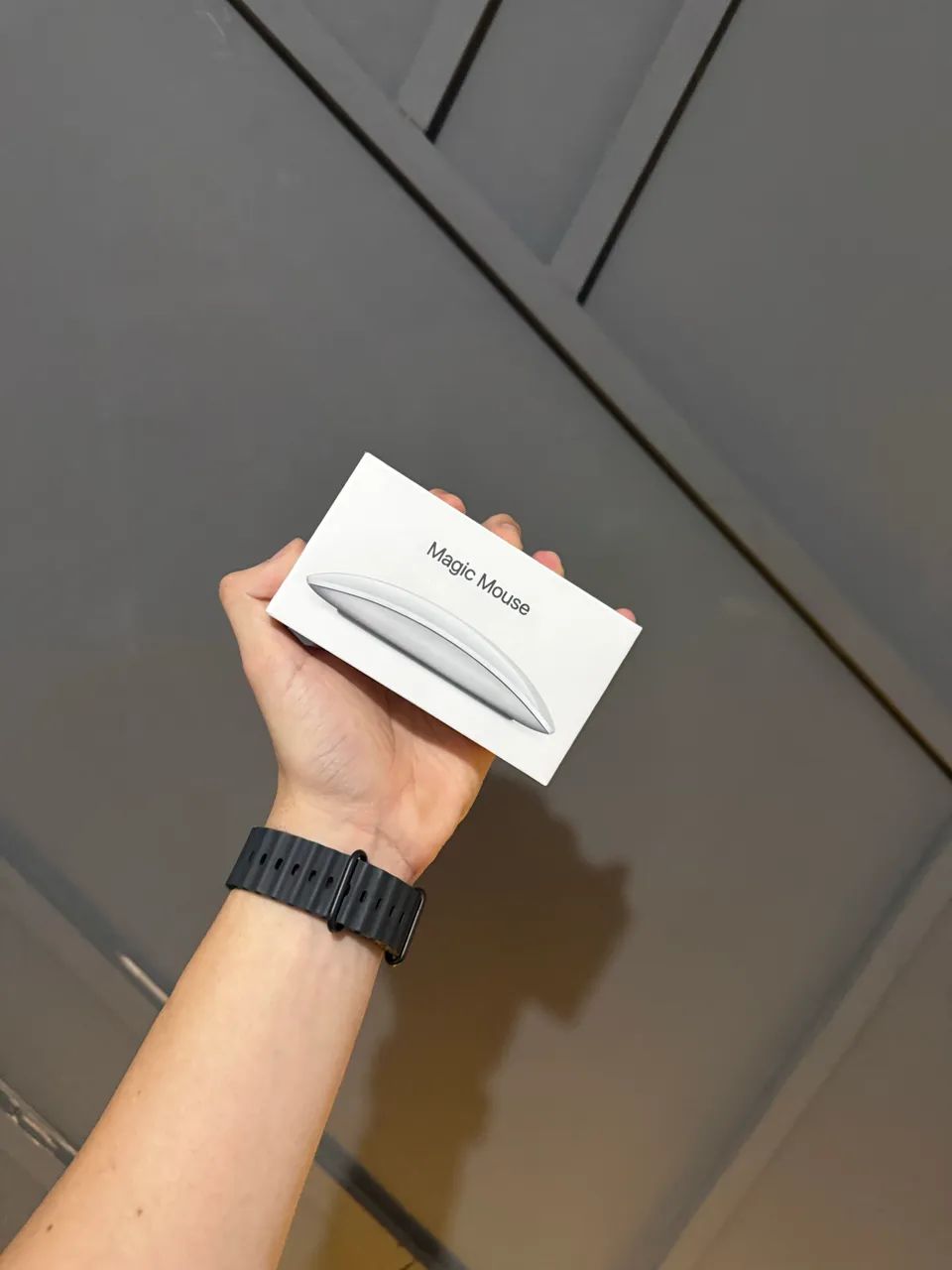 Magic Mouse 2ª geração NOVO