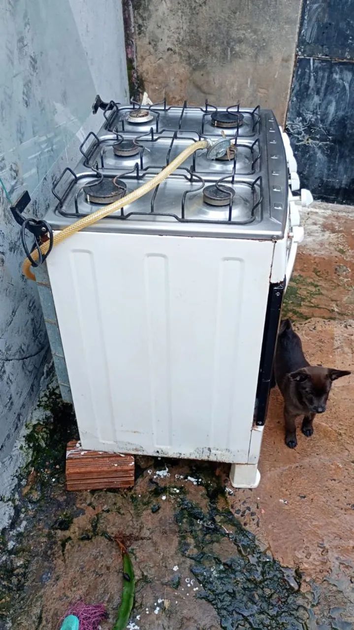 Fogão  - Foto 3