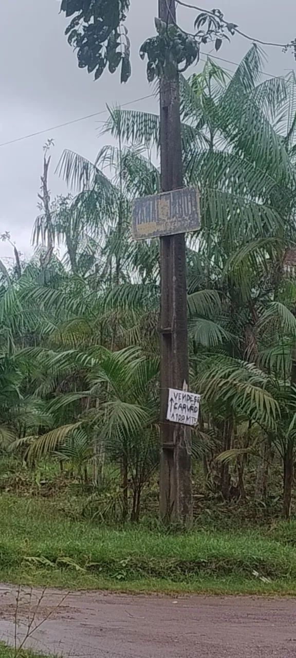 Terreno no Genipaúba  - Foto 4